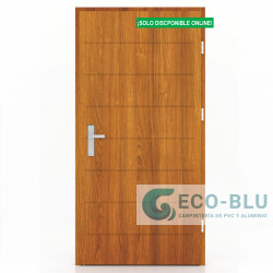 Puerta modelo IBI Serie 55